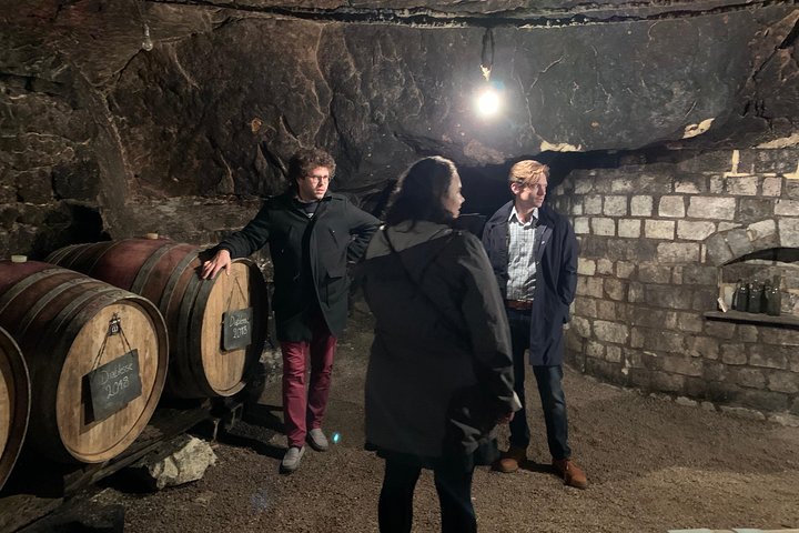 English Speaking Loire Winery Tours originating from Chinon