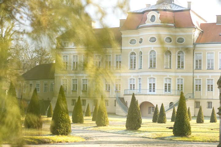 Palace, Castle and Ancient Oaks - Rogalin and Kórnik guided tour from Poznan