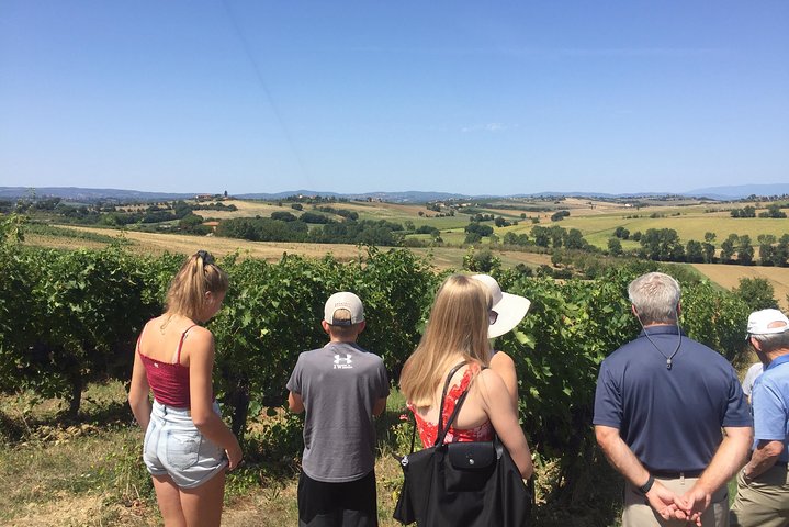 Wine and olive oil tastings with the locals