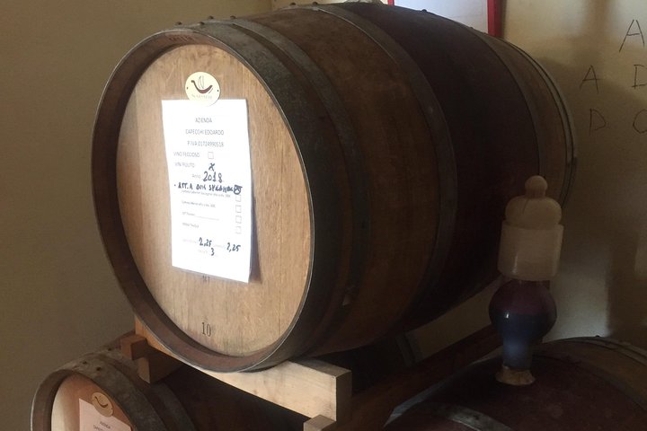 Wine and olive oil tastings with the locals