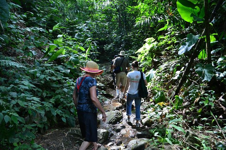 Taste of Ecuador: Fish Market, Forest trail, Local Food & Crafts