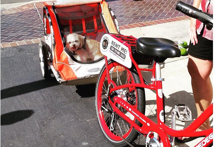 Carlsbad 3-Hour Electric Bike Rental