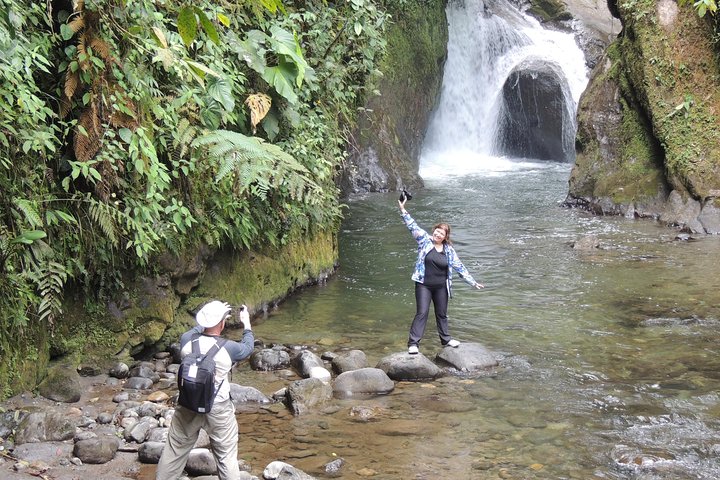 Mindo Cloud Forest Private Day Tour