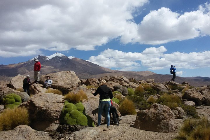Lauca National Park 2D / 1N "Arica - Putre - Lake Chungará - Arica"