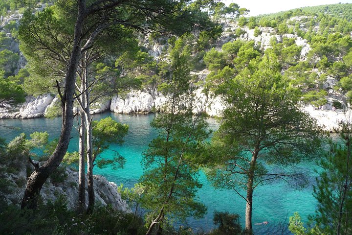 In Vau la Magnifique