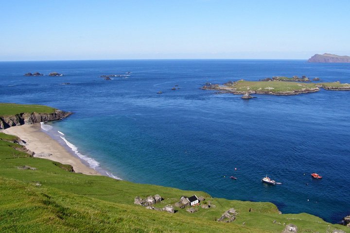 Dolphin and Whale Watching Tour from Dingle