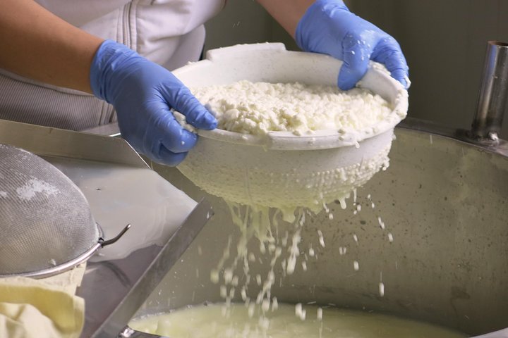 Troodos Mountains Halloumi Making: All Inclusive Workshop & Tour