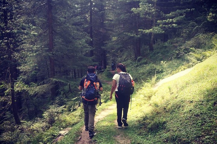 Prashar Lake Trek