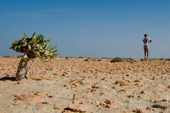 Discover The Aral Sea With Ayimtour