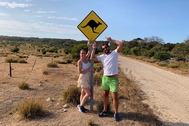 Small Group Kangaroo Island Tour - Dudley Peninsula