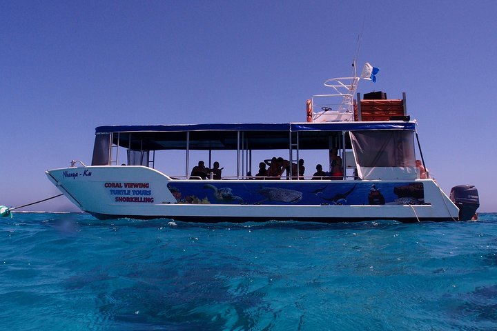 Coral Bay 1-Hour Coral Viewing
