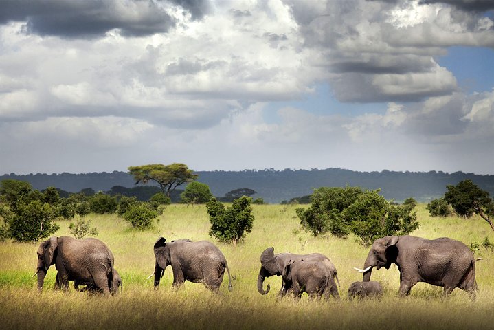 8 Days Tanzania southern circuit safari