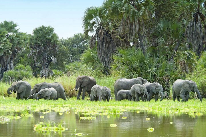 8 Days Tanzania southern circuit safari