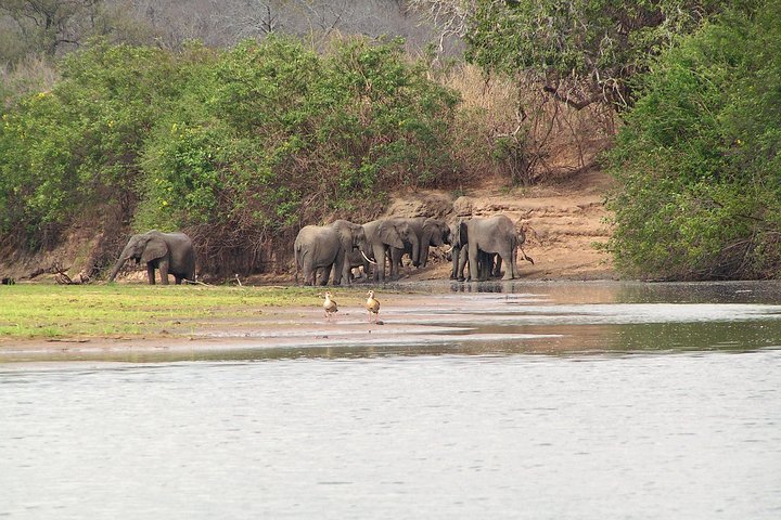 8 Days Tanzania southern circuit safari