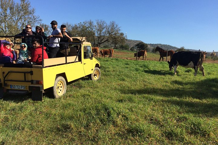 Explore the Algarve Countryside - Half Day Jeep Safari Trip