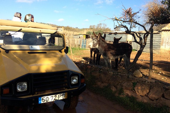 Explore the Algarve Countryside - Half Day Jeep Safari Trip