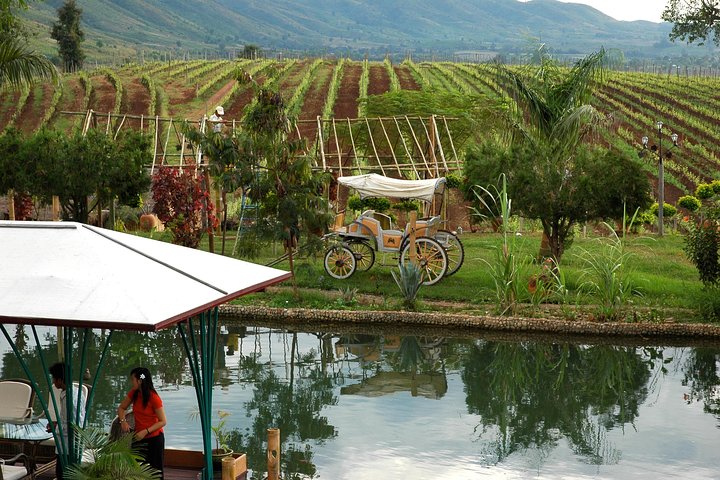 Wine Testing Tour in Taunggyi, Myanmar
