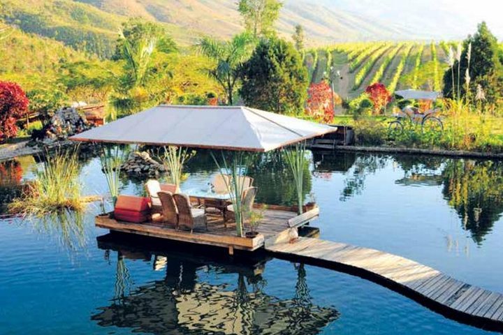 Wine Testing Tour in Taunggyi, Myanmar