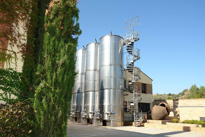 Visit and wine tasting with sausage and BODEGA PIRINEOS cheese