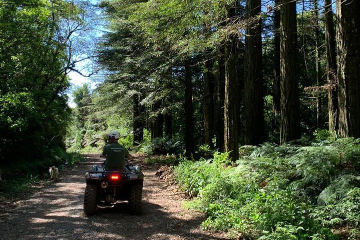 Quadricycle Tour to the Hills with Off Road 15km - 2 people