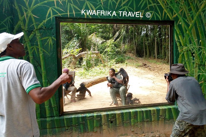 4 days Zongo falls, Bonobos and Kinshasa city experience