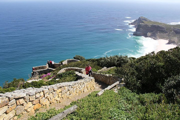 Half Day Boulders Penguins and Cape Point Small Group Tour