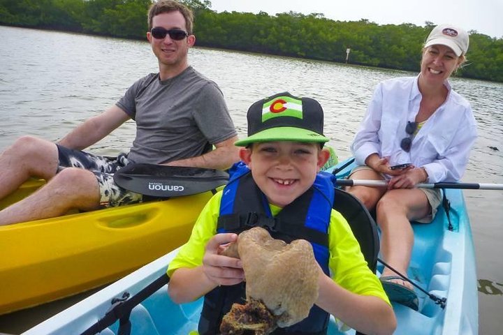 Guided Island EcoTour: CLEAR/Standard Kayak, SUP - Bonita Springs