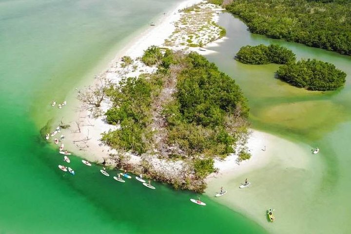 Guided Island EcoTour: CLEAR/Standard Kayak, SUP - Bonita Springs