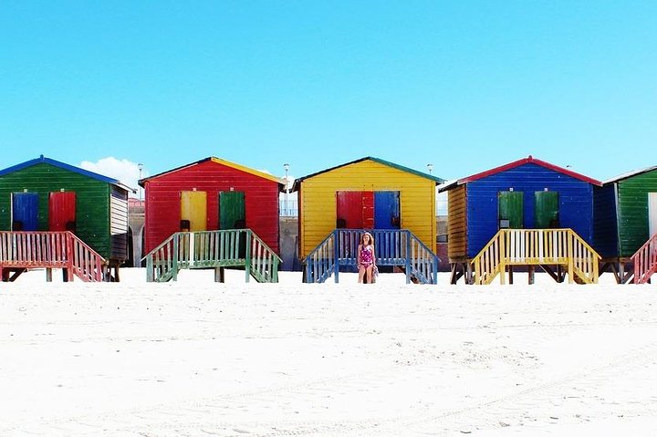 Half Day Boulders Penguins and Cape Point Small Group Tour