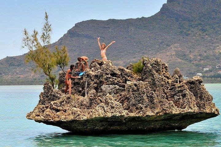 Dolphin Encounters, Ile aux Benitier & Crystal rock: Full-Day (Lunch & Transfer)