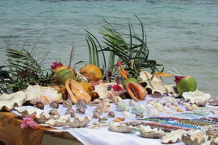 Dolphin Encounters, Ile aux Benitier & Crystal rock: Full-Day (Lunch & Transfer)