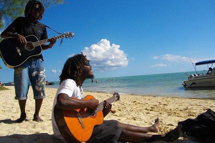 Dolphin Encounters, Ile aux Benitier & Crystal rock: Full-Day (Lunch & Transfer)