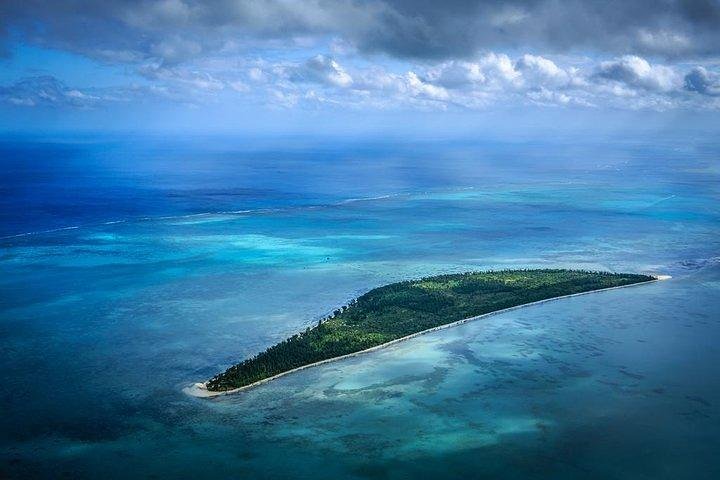 Dolphin Encounters, Ile aux Benitier & Crystal rock: Full-Day (Lunch & Transfer)