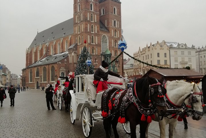 From Warsaw to Auschwitz and Krakow tour fast train with pick up