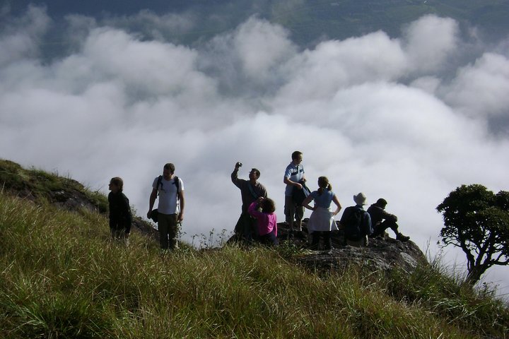 Half day trekking (munnar valley Trekking & Tours )