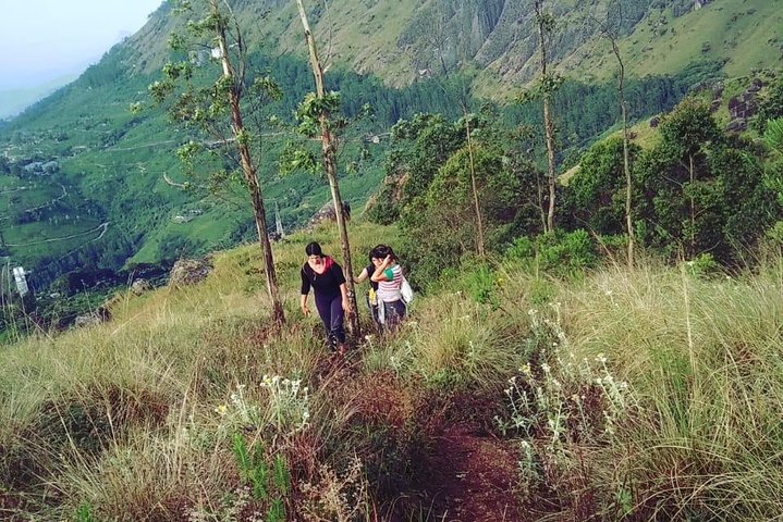 Half day trekking (munnar valley Trekking & Tours )