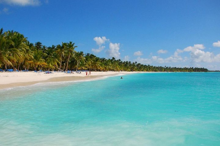 Saona Island Day Trip From Punta Cana with Lunch and Open Bar
