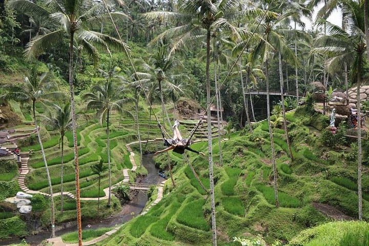Ubud: Monkey Forest, Jungle Swing, Rice Terrace and Water Temple