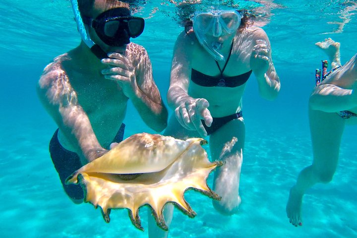 Half Day Tour : Moorea Snorkeling & Sailing on a Catamaran named Taboo