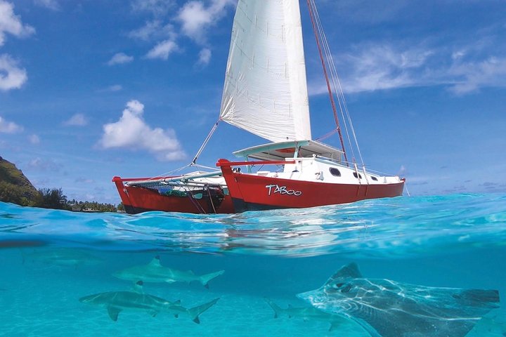 Half Day Tour : Moorea Snorkeling & Sailing on a Catamaran named Taboo
