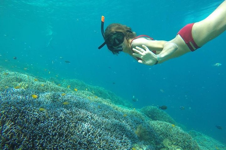 Exclusive Day Trip to Gili Trawangan, Meno & Air: Depart Lombok