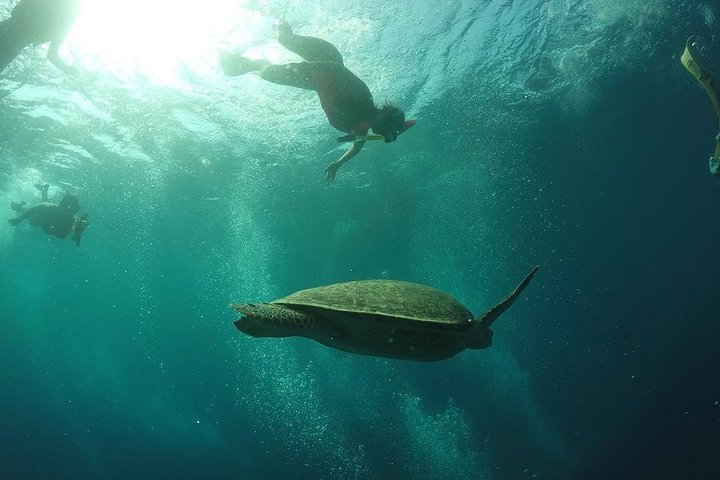 Exclusive Day Trip to Gili Trawangan, Meno & Air: Depart Lombok