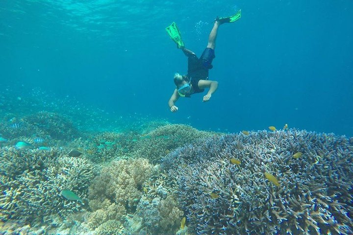 Exclusive Day Trip to Gili Trawangan, Meno & Air: Depart Lombok