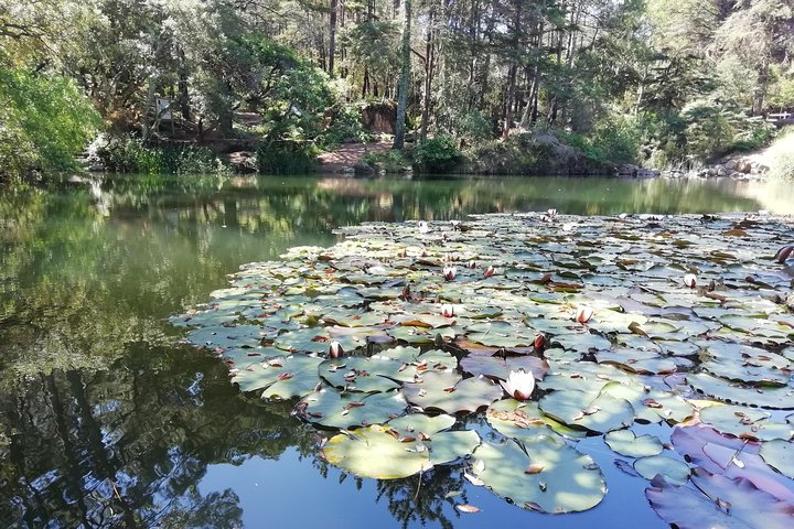Lisboa, Cascais and Sintra - Private guided tour