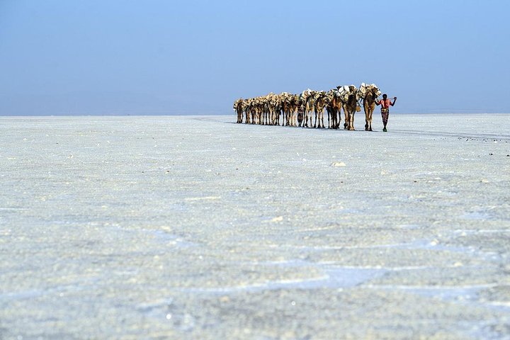 3 Days Danakil Depression tour including Erta ale, Dallol and more