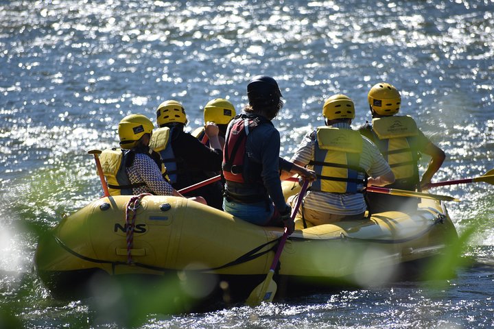 Rogue Valley Rapid Run