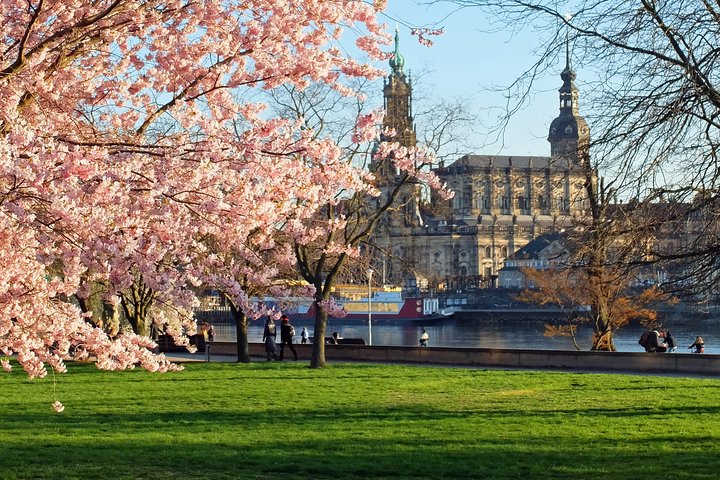 Fashioned For A King: Tour of Dresden's Royal Palace and historic city centre.