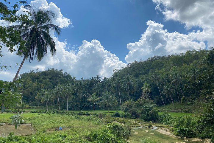 Bohol Chocolate hills and Waterfalls Ecotour