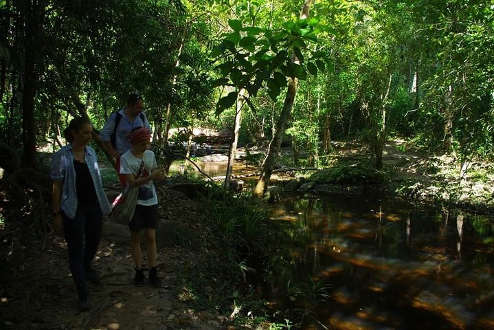Tours and Tickets to Experience Phnom Kulen National Park