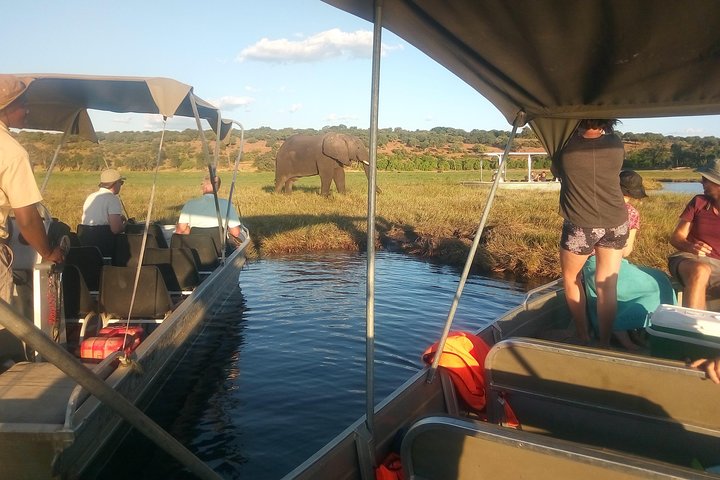 Chobe National Park Small Group Day Safari from Victoria Falls